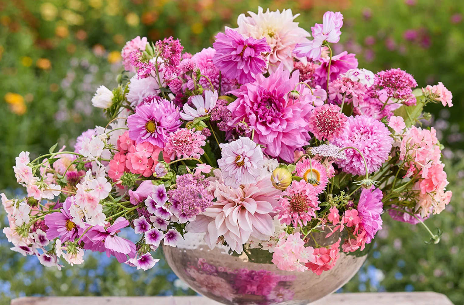 Cultivate Your Dream Garden